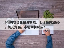 PPI与初请数据发布后，金价跌破2560，美元走强，市场如何反应？