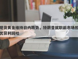 现货黄金维持日内跌势，特朗普就职前市场担忧获利回吐