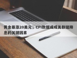 黄金暴涨20美元，CPI数据或成美联储降息的关键因素