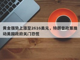 黄金强势上涨至2616美元，特朗普政策推动美国政府关门恐慌