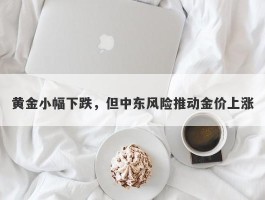 黄金小幅下跌，但中东风险推动金价上涨