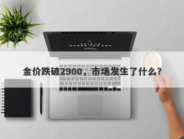 金价跌破2900，市场发生了什么？