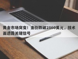 黄金市场突变！金价跌破2860美元，技术面透露关键信号