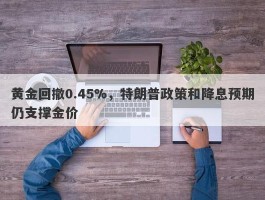 黄金回撤0.45%，特朗普政策和降息预期仍支撑金价