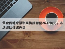 黄金因地缘紧张局势反弹至2637美元，市场避险情绪升温